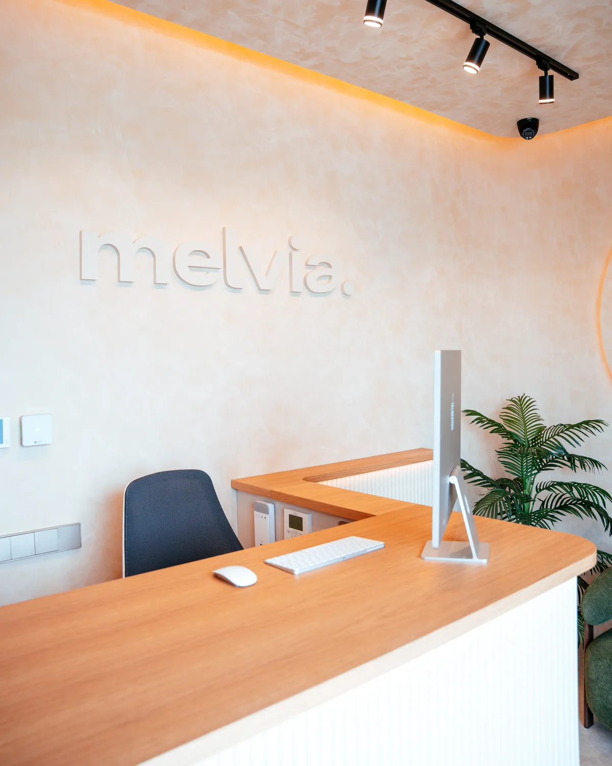 Mostrador de roble y paredes de microcemento de Melvia